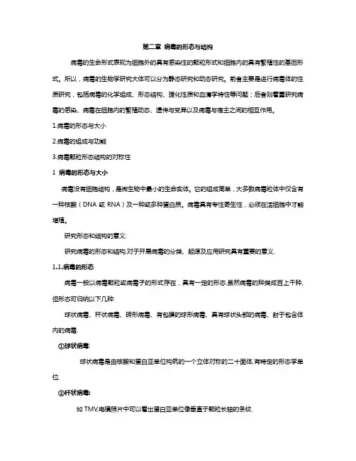 病毒学第二章讲义