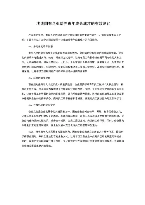 浅谈国有企业培养青年成长成才的有效途径