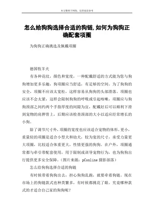 怎么给狗狗选择合适的狗链,如何为狗狗正确配套项圈