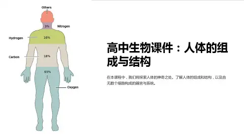 《高中生物课件：人体的组成与结构》