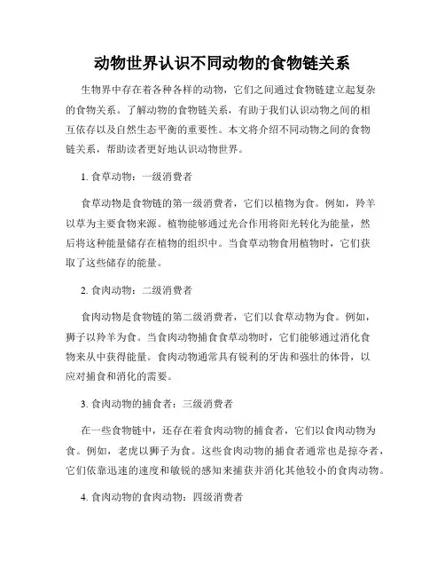 动物世界认识不同动物的食物链关系