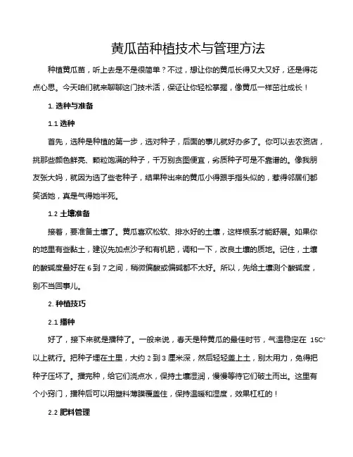 黄瓜苗种植技术与管理方法