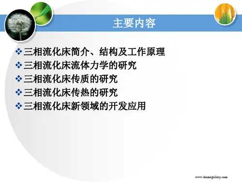 3气液固三相流化床反应器