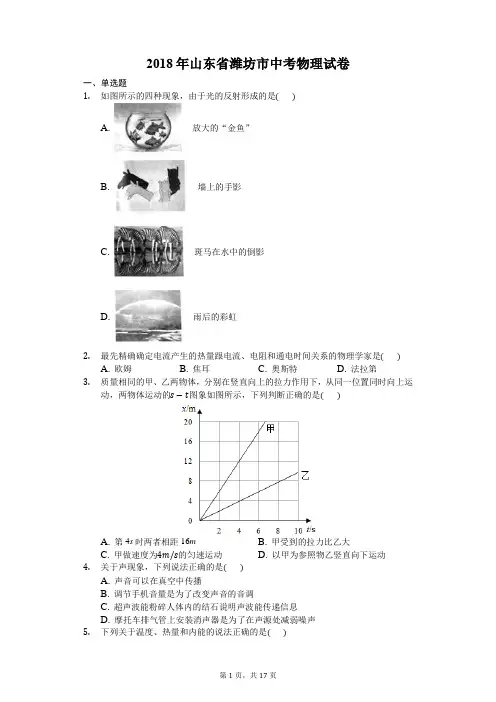 2018年山东潍坊市中考物理真word版含答案