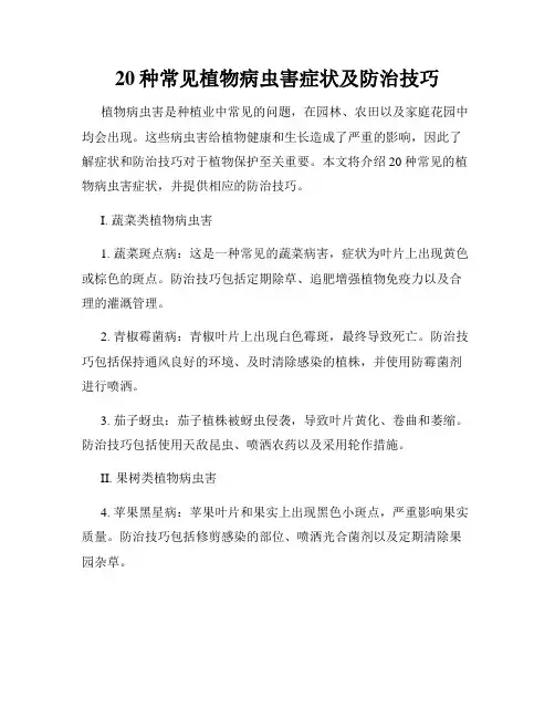 20种常见植物病虫害症状及防治技巧