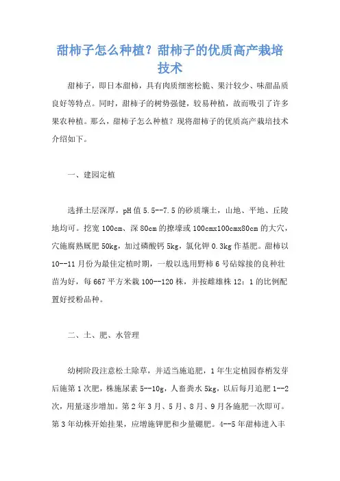 甜柿子怎么种植？甜柿子的优质高产栽培技术