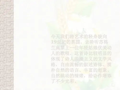 孤独的收割人ppt7