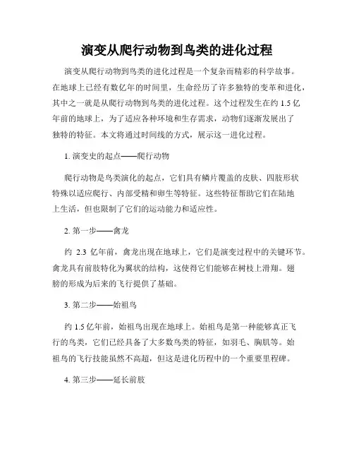 演变从爬行动物到鸟类的进化过程