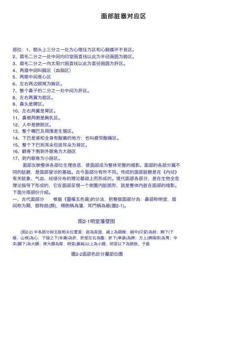 面部脏器对应区