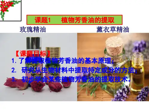 6.1植物芳香油的提取-人教版高中生物选修1课件