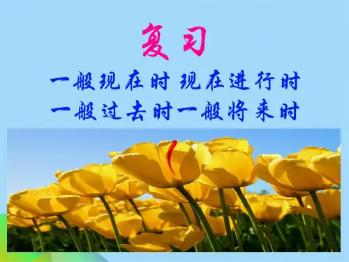 一般现在时现在进行时和一般过去时和一般将来时态ppt(共26张PPT)