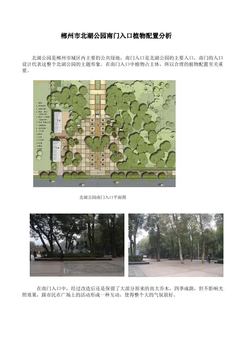 植物配置分析报告