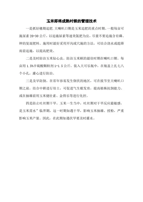 玉米即将成熟时候的管理技术