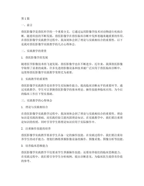 兽医影像学实践教学心得(3篇)