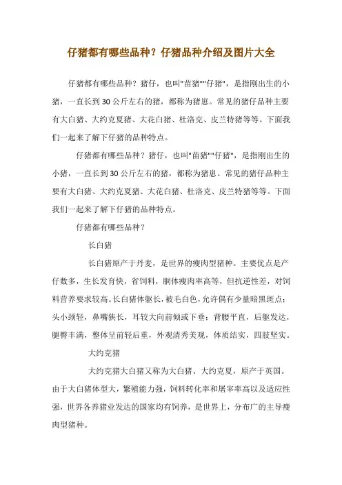 仔猪都有哪些品种？仔猪品种介绍及图片大全
