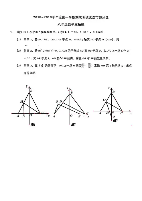 2018~2019学年度第一学期期末考试武汉市部分区八年级数学压轴题
