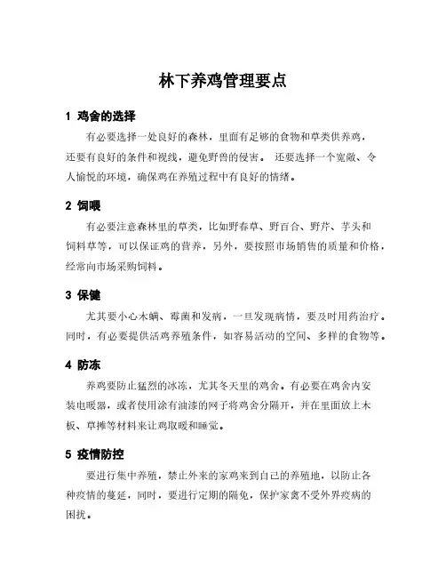 林下养鸡管理要点