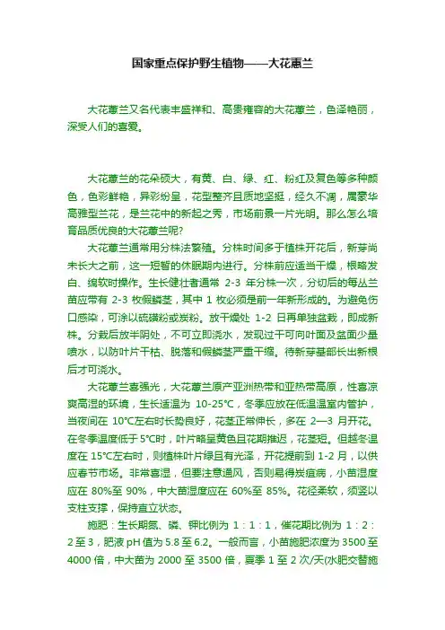 国家重点保护野生植物——大花蕙兰