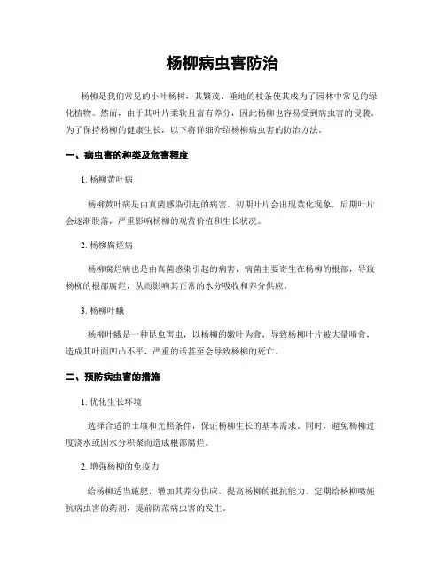 杨柳病虫害防治