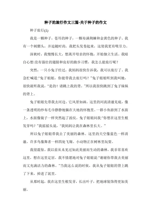 种子的旅行作文三篇-关于种子的作文.doc
