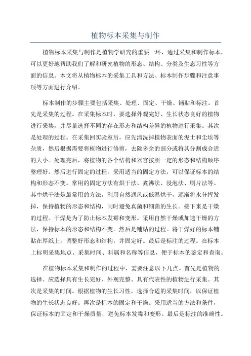 植物标本采集与制作