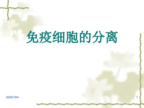 免疫细胞的分离技术PPT幻灯片