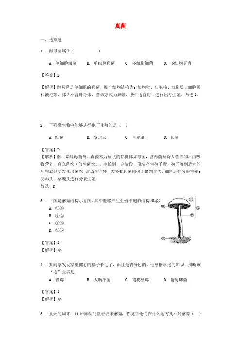 八年级生物《真菌》练习新人教版
