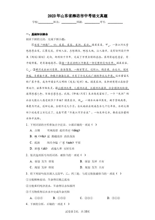 2023年山东省潍坊市中考语文真题(含答案解析)