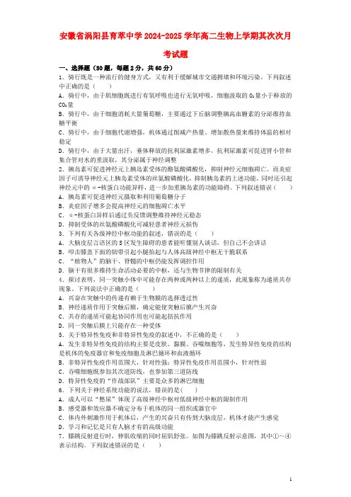 安徽省涡阳县育萃中学2024_2025学年高二生物上学期第二次月考试题