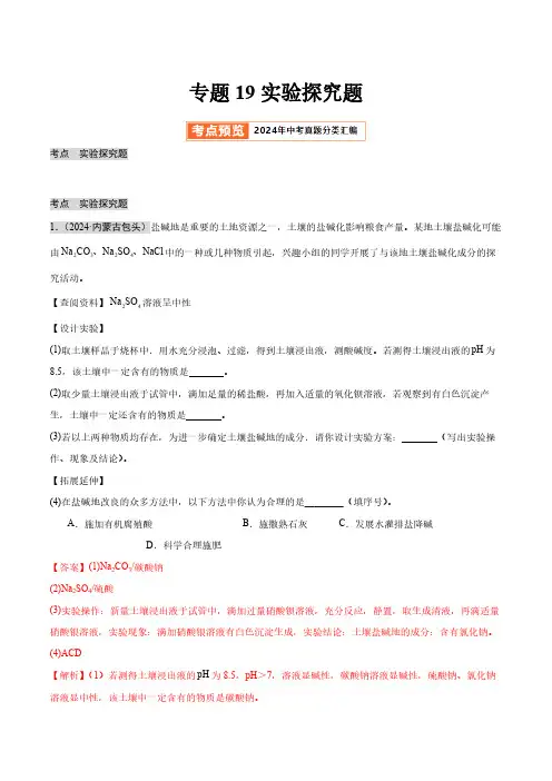 专题19 实验探究题(第02期)(教师版) 2024年中考化学真题分类汇编(全国通用)第02期