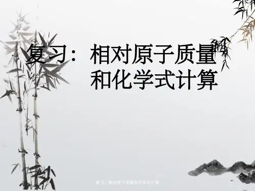 复习：相对原子质量和化学式计算