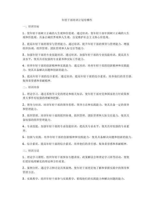 年轻干部培训计划有哪些
