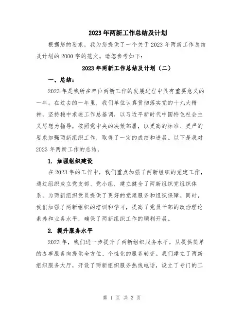 2023年两新工作总结及计划
