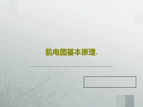 肌电图基本原理.105页PPT