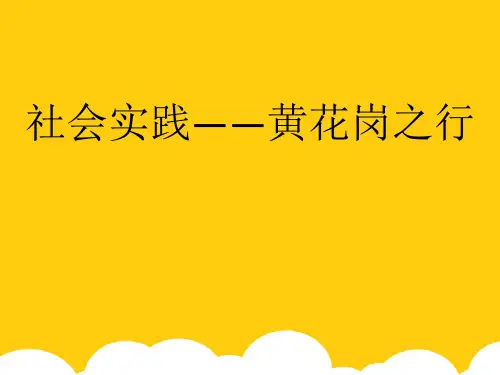 思修社会实践ppt实用资料