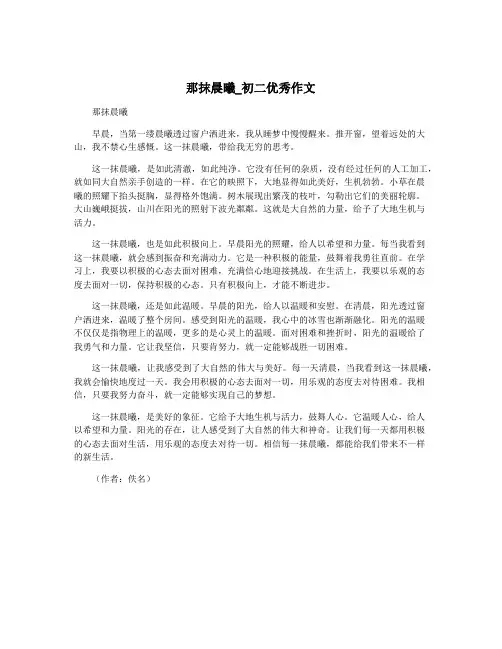 那抹晨曦_初二优秀作文