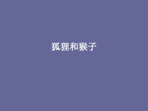 狐狸和猴子20130630