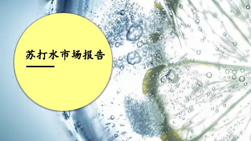 苏打水市场报告2023