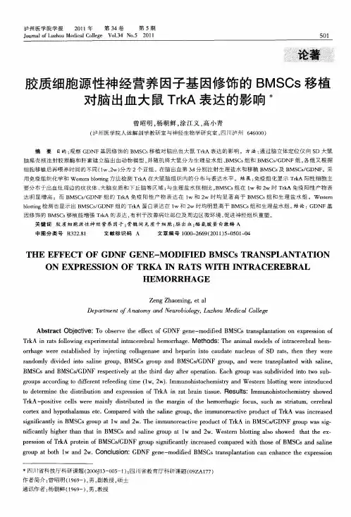 胶质细胞源性神经营养因子基因修饰的BMSCs移植对脑出血大鼠TrkA表达的影响