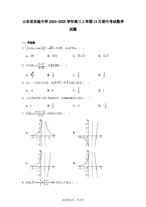 山东省实验中学2024-2025学年高三上学期11月期中考试数学试题
