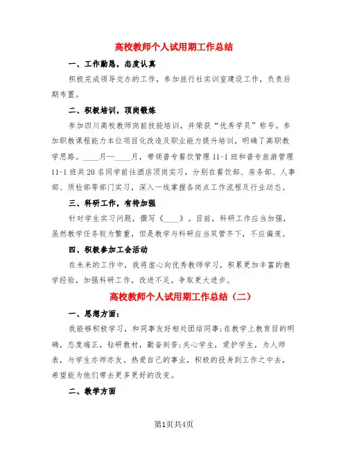 高校教师个人试用期工作总结(3篇)