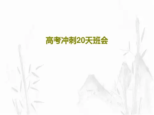 高考冲刺20天班会20页PPT