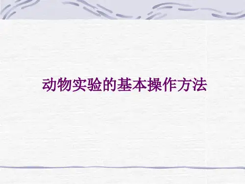 动物的基本操作方法