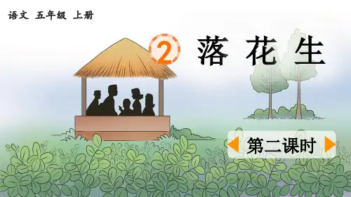 《落花生》优质课件(第二课时)