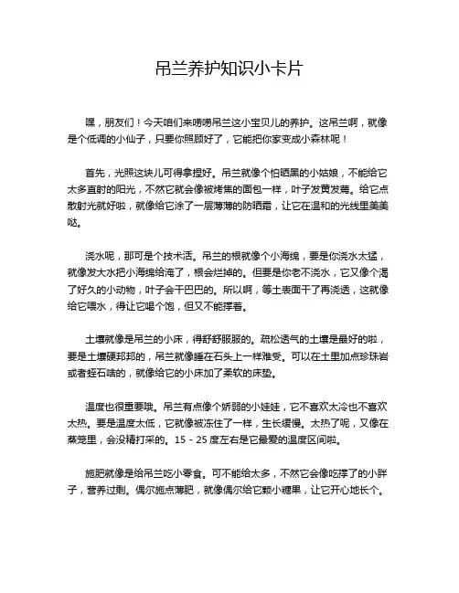 吊兰养护知识小卡片