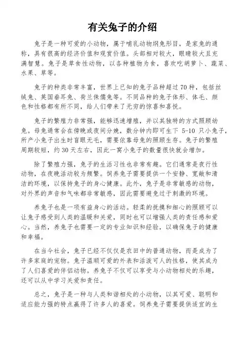 有关兔子的介绍