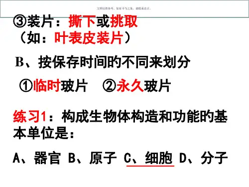 植物细胞优秀课件