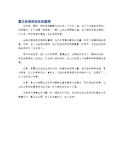 置之死地而后生的意思