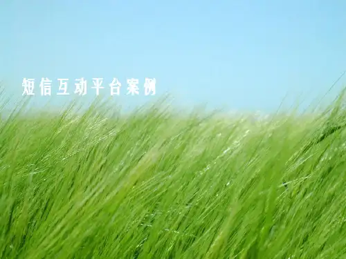 《短信互动平台案例》PPT幻灯片PPT
