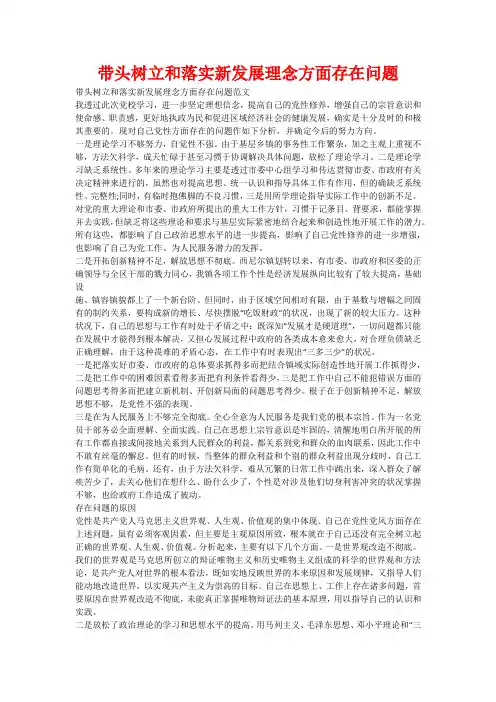 带头树立和落实新发展理念方面存在问题